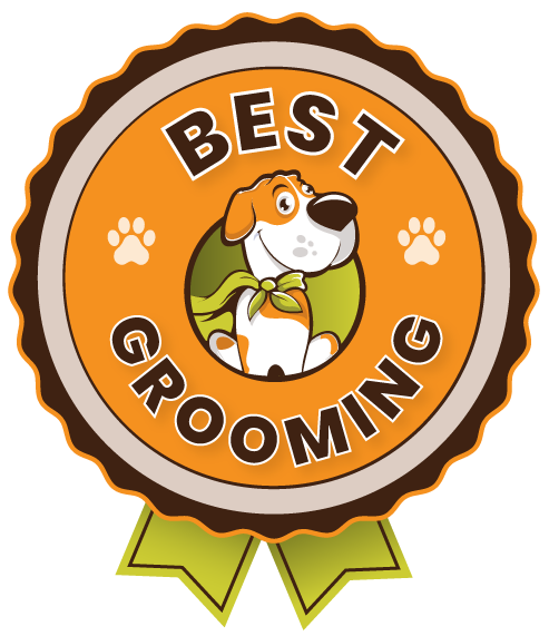 Waggerz Groom Room - Professional Dog Grooming in Garner NC